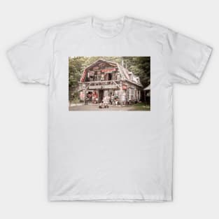 Weathervanes To Antique Trains 2 T-Shirt